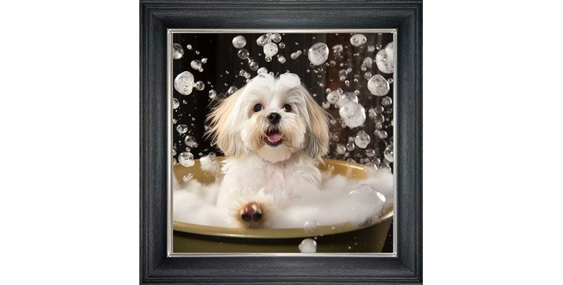 lhaso apso in bubble bath framed wall art £49