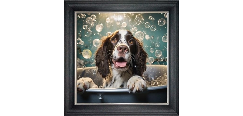 springer spaniel in bubble bath framed wall art £49