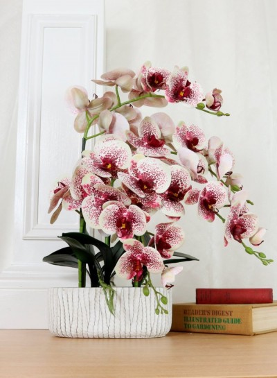 large 4 stem purple orchid £49.99