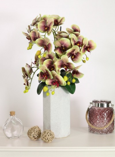 large 6 stem green and purple orchid £45