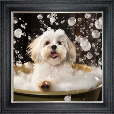 lhaso apso in bubble bath framed wall art £49