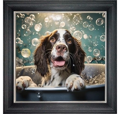 springer spaniel in bubble bath framed wall art £49